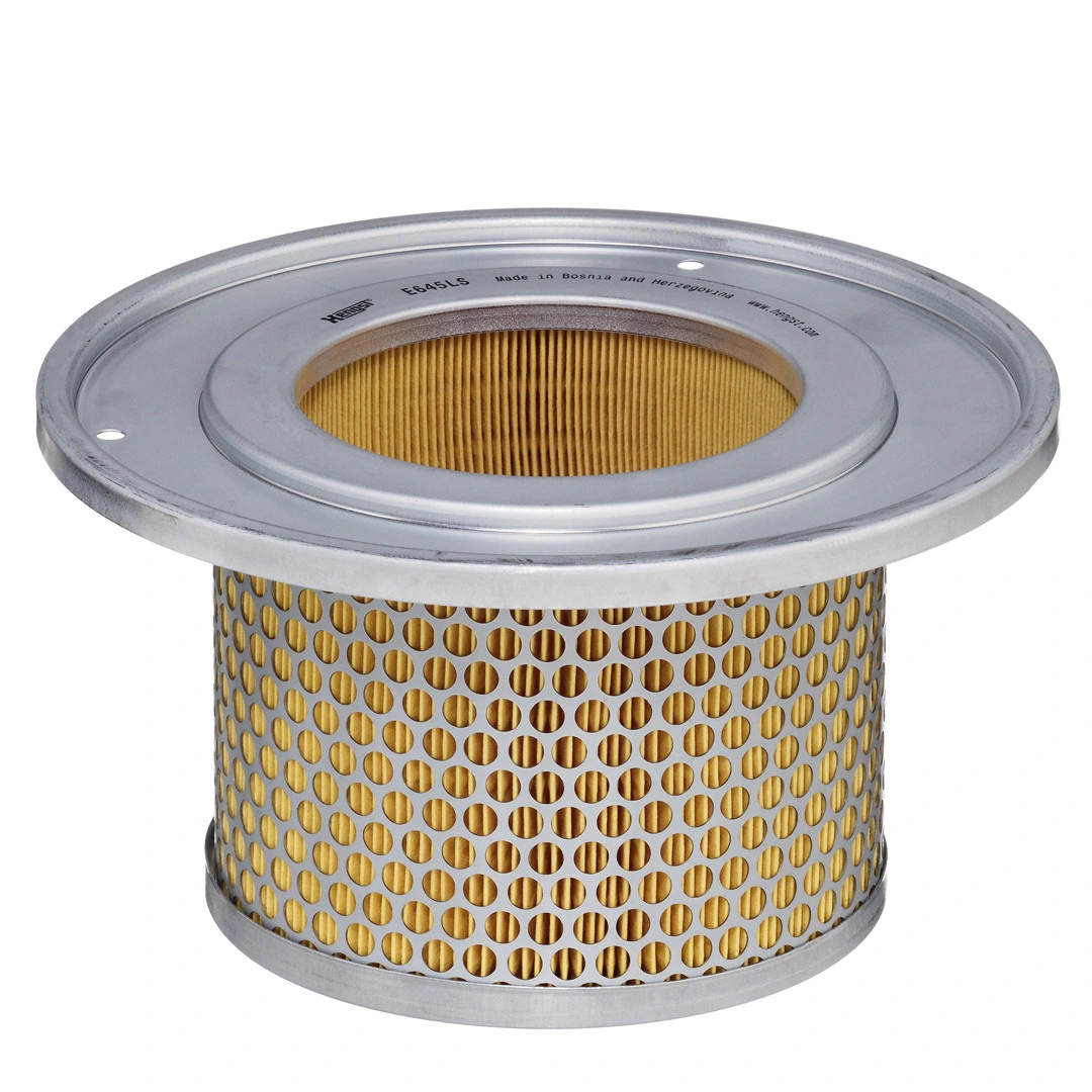 Secondary Air Filter